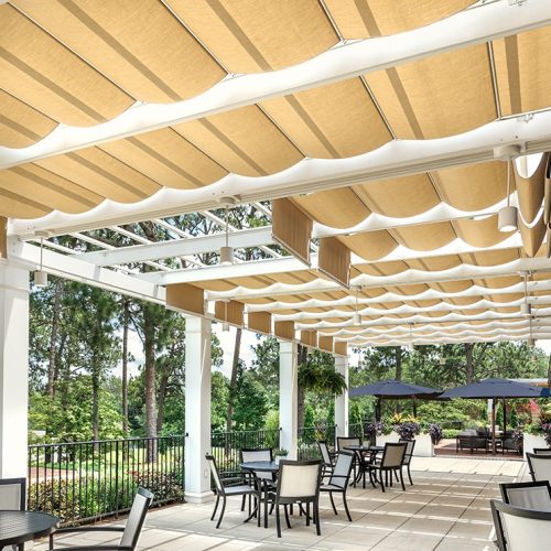 ShadTree_CCNC_2022_Final-4